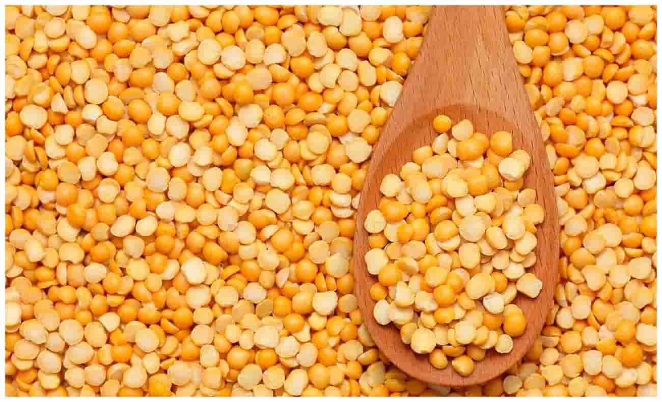 خرید و قیمت لپه درشت + فروش عمده